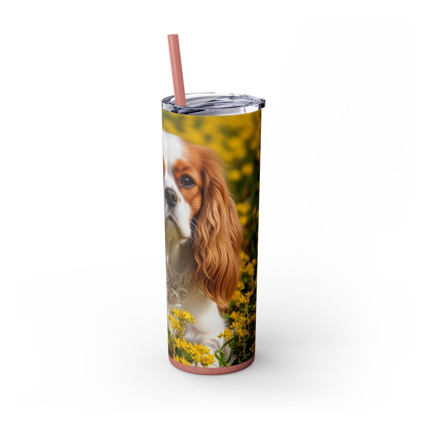 Skinny Tumbler with Straw – 20 oz Stainless Steel Cup