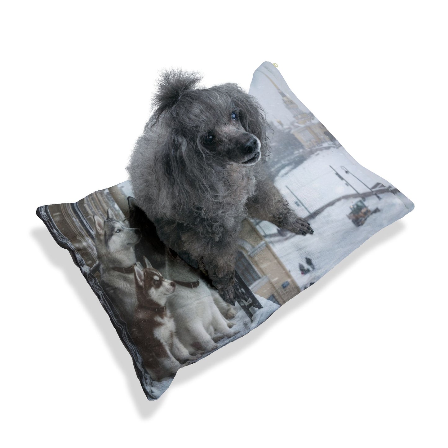 Siberian Husky Pet Bed