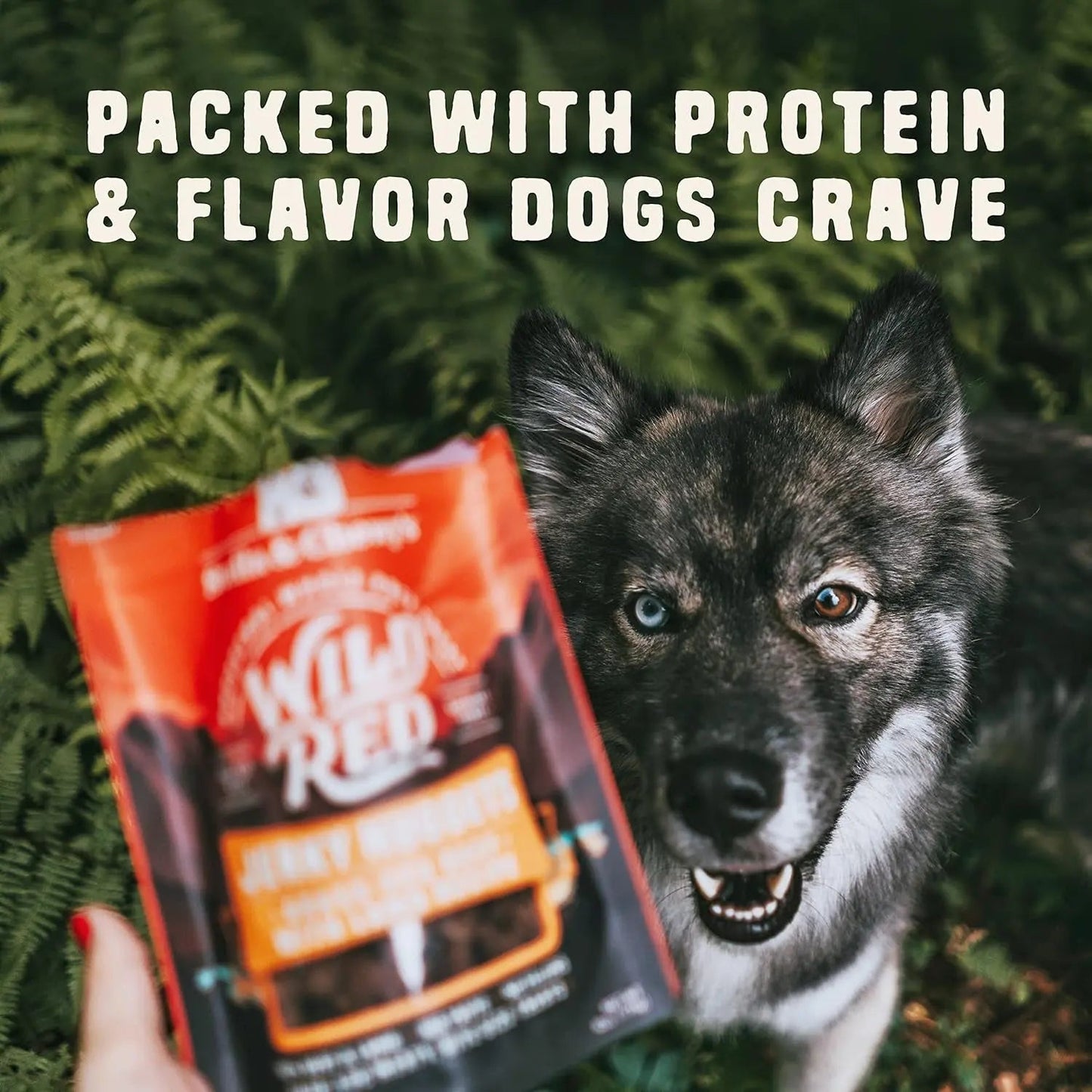 Croquettes de viande séchée Wild Red - Friandises pour chiens au poulet et au canard riches en protéines (90 %) - Sans céréales - Récompenses d'entraînement pour toutes les races - Fabriquées aux États-Unis - Sachet de 170 g