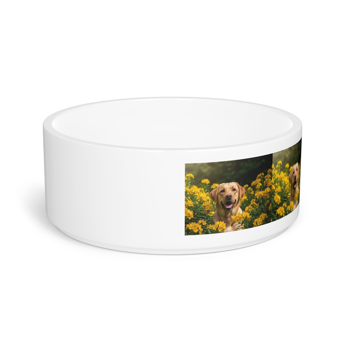 Labrador Retriever Pet Bowl
