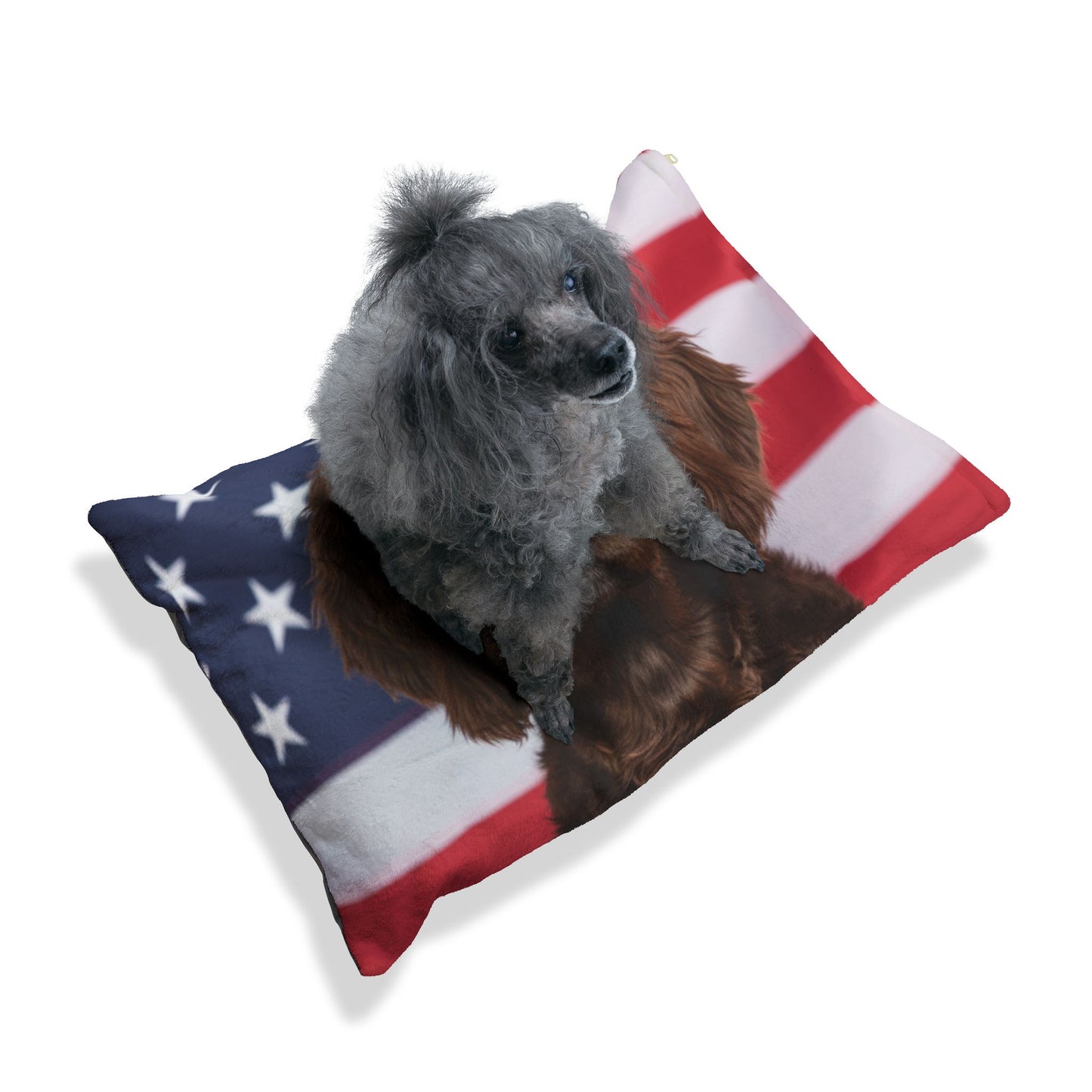 American Water Spaniel Patriotic Pet Bed