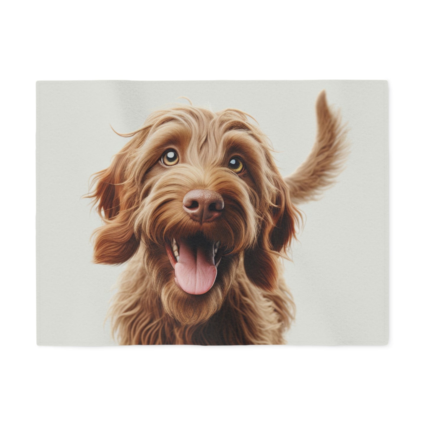 Manta sudadera italiana Spinone