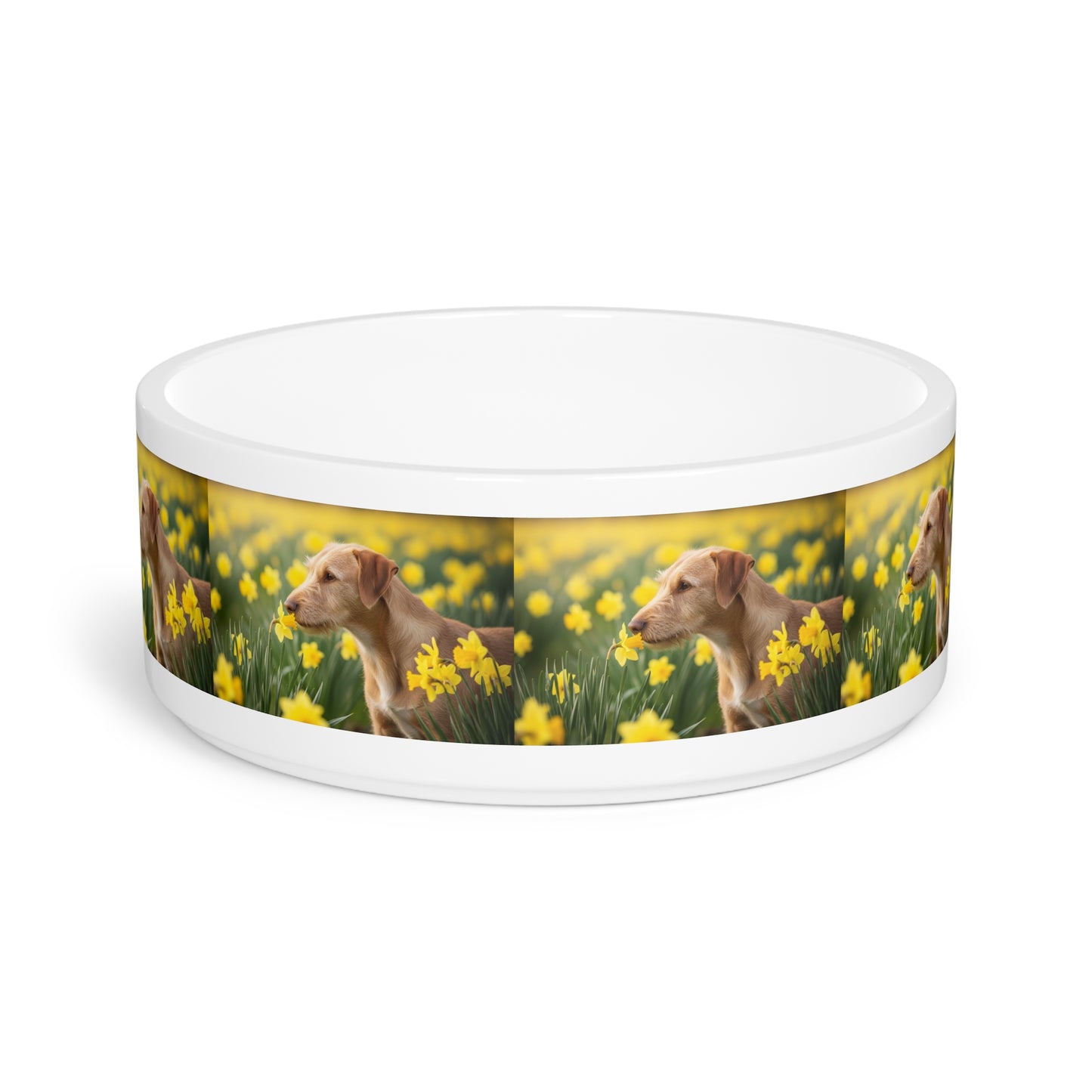 Portuguese Podengo Pequeno Pet Bowl