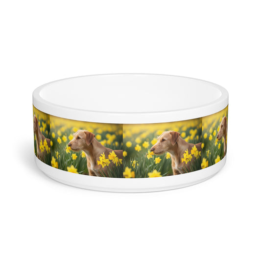Portuguese Podengo Pequeno Pet Bowl