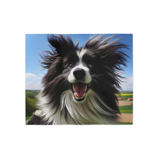 Sweat-shirt/couverture pour chien de berger portugais