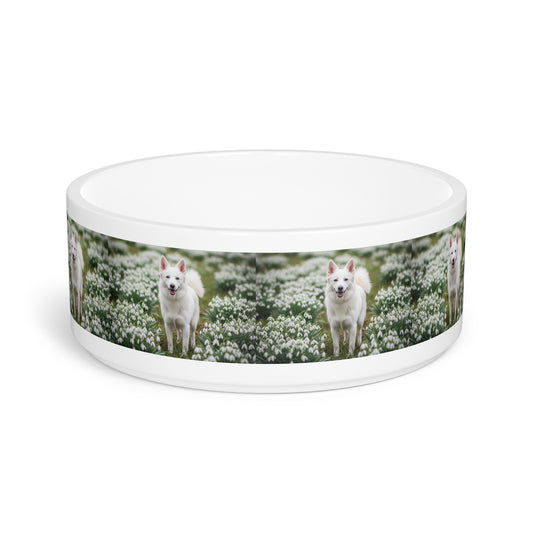 Volpino Italiano Pet Bowl