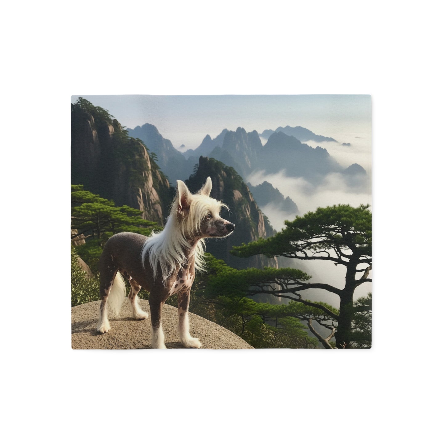 Chinese Crested Dog Blanket