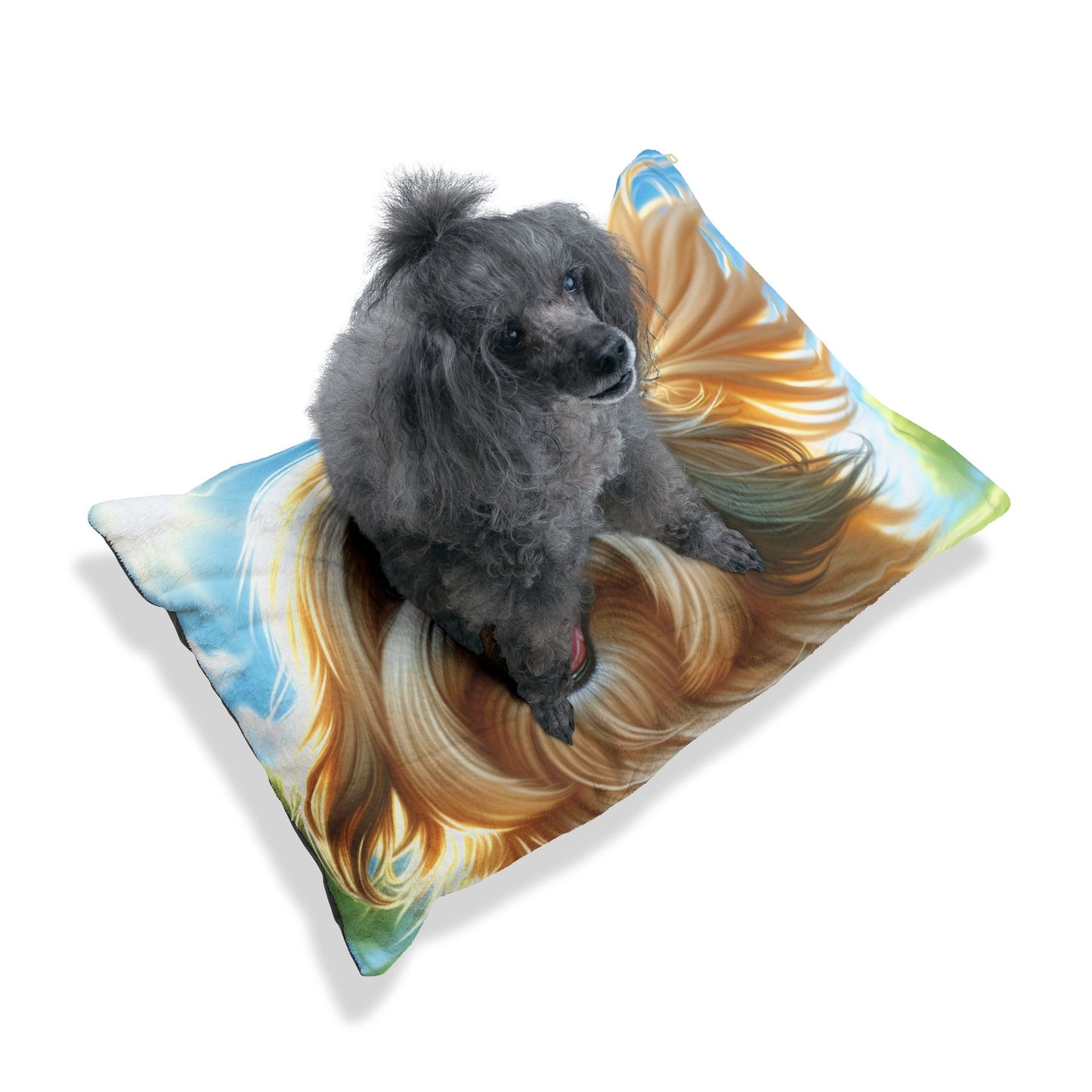 Lhasa Apso Pet Bed