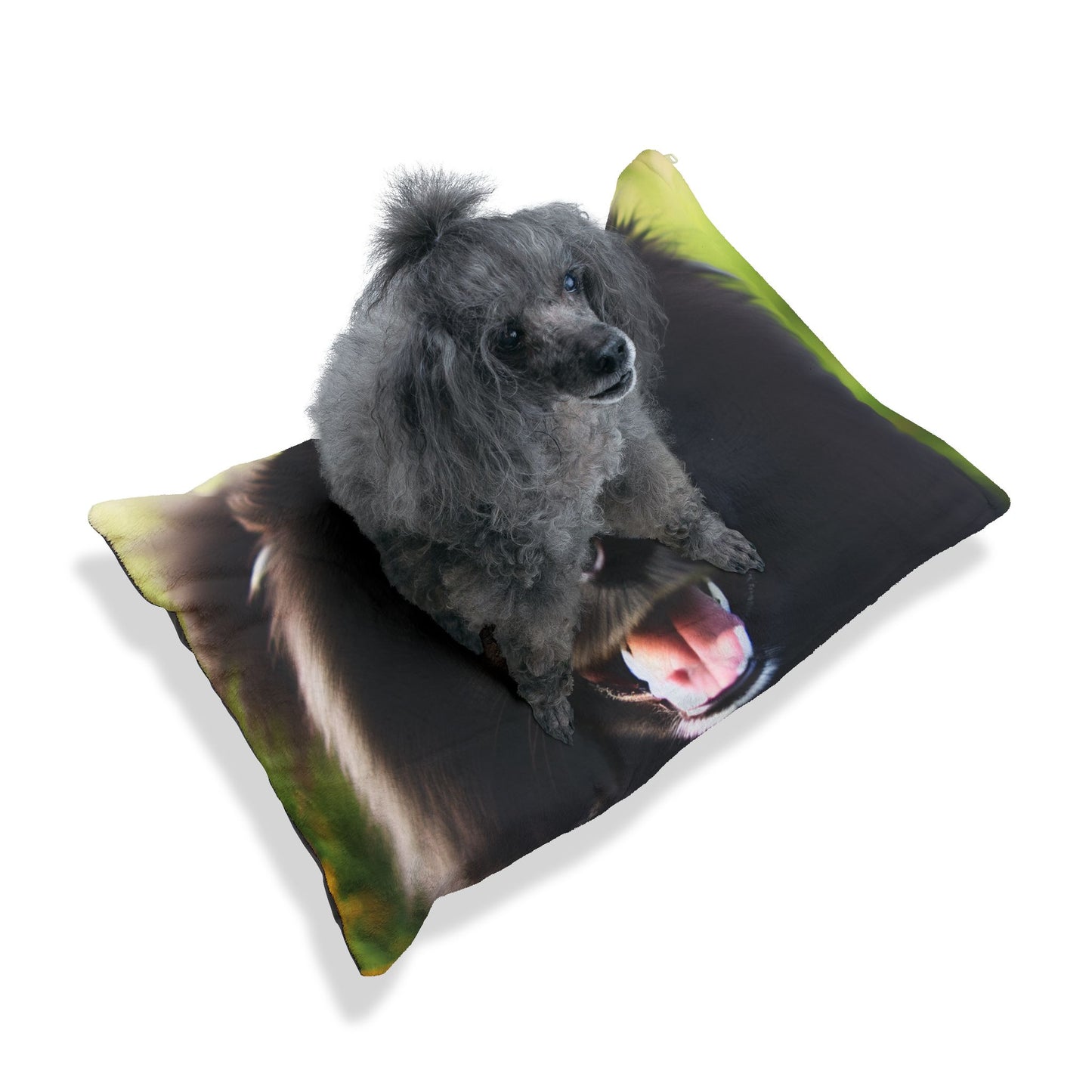 Swedish Lapphund Pet Bed