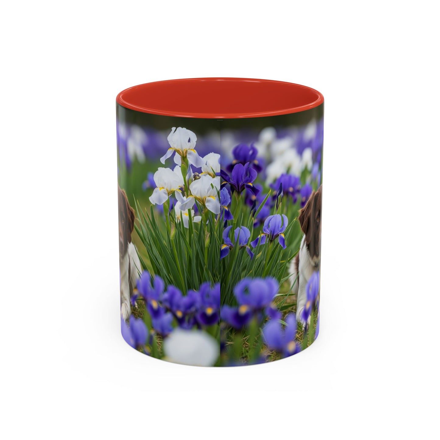 Mug Stabyhouns Accent - Cadeau idéal pour les amoureux des chiens