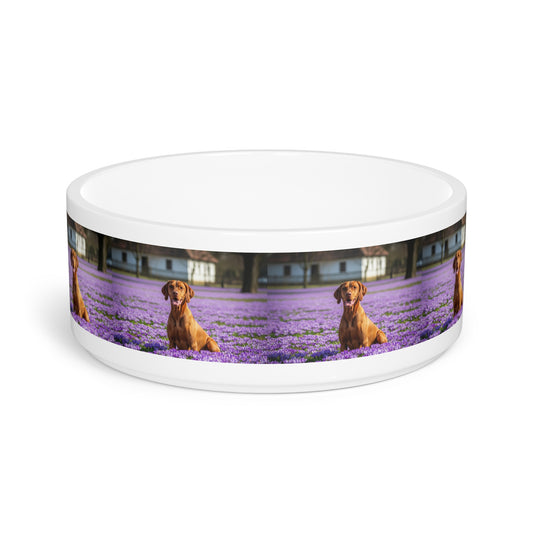 Vizsla Pet Bowl