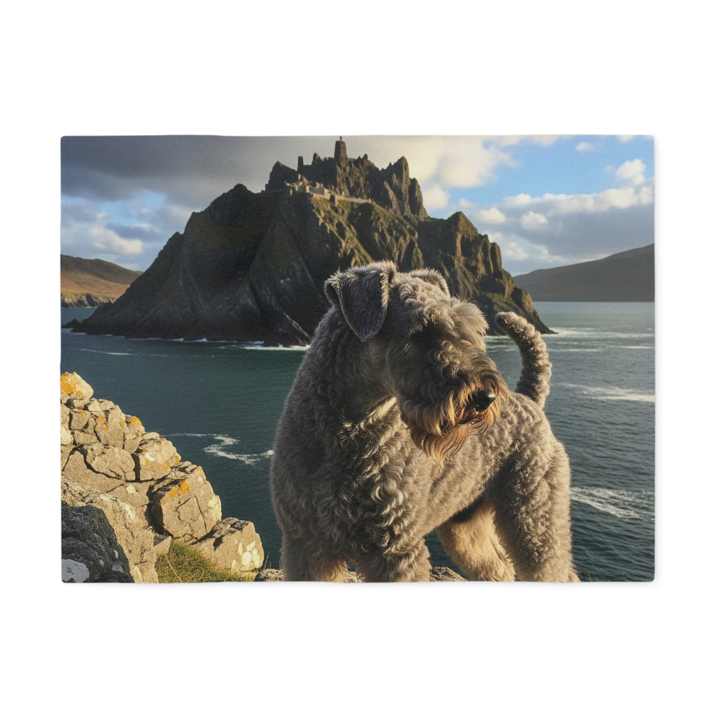 Kerry Blue Terrier Blanket