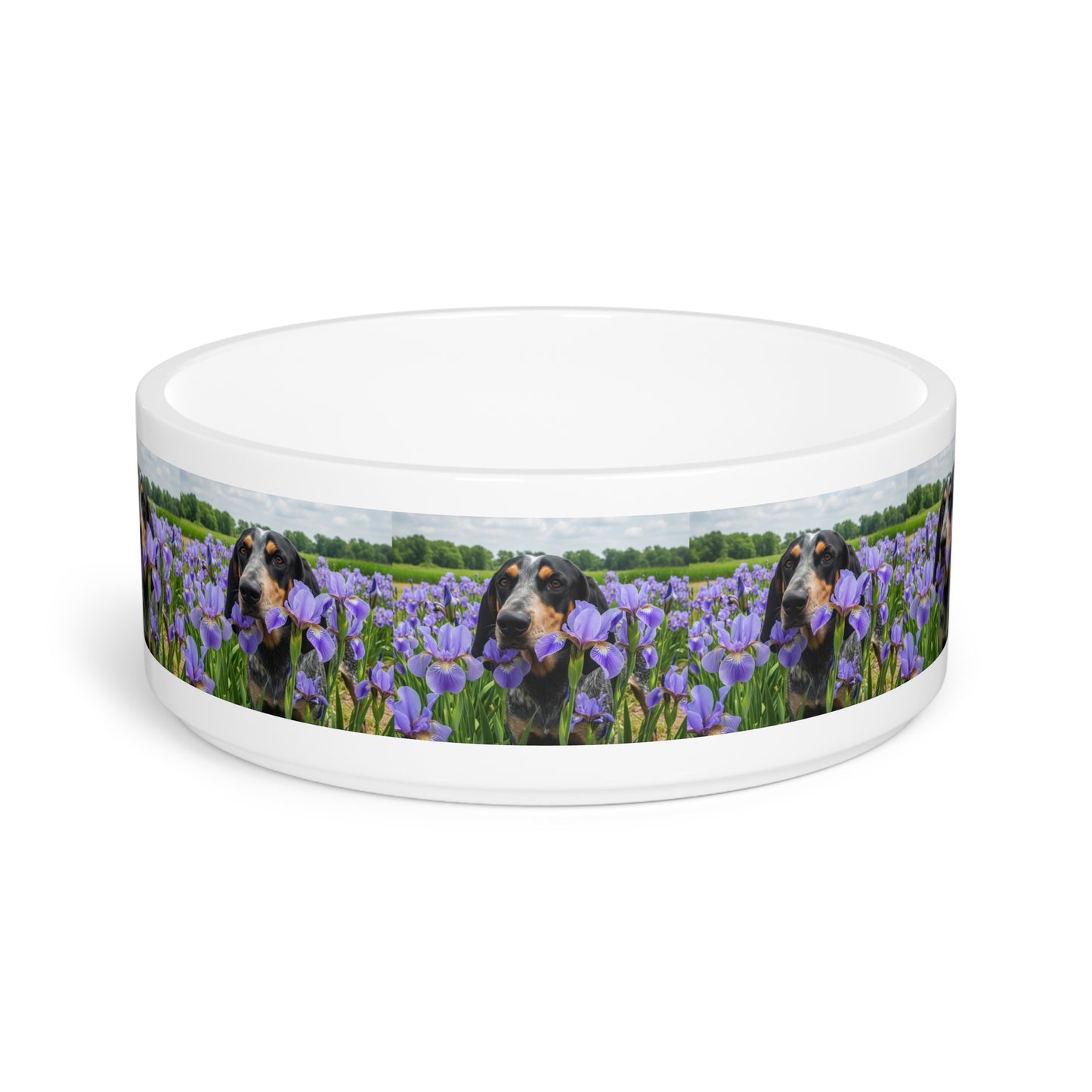 Bluetick Coonhound Pet Bowl