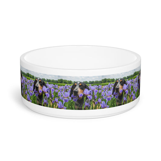 Bluetick Coonhound Pet Bowl