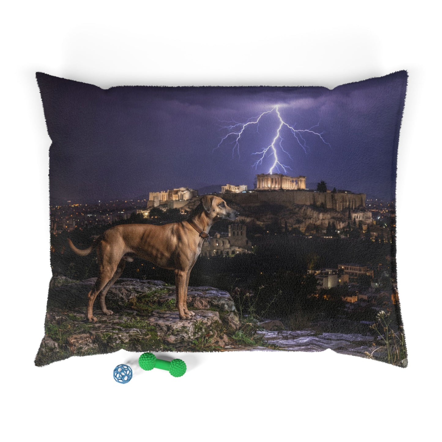 Kritikos Lagonikos Pet Bed
