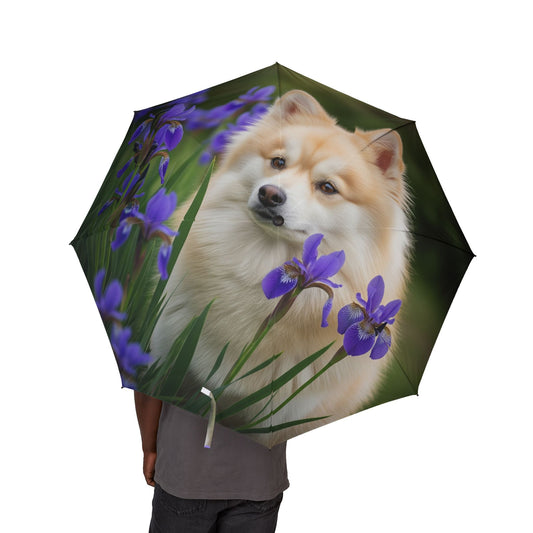 Pomsky Semi-Automatic Foldable Umbrella