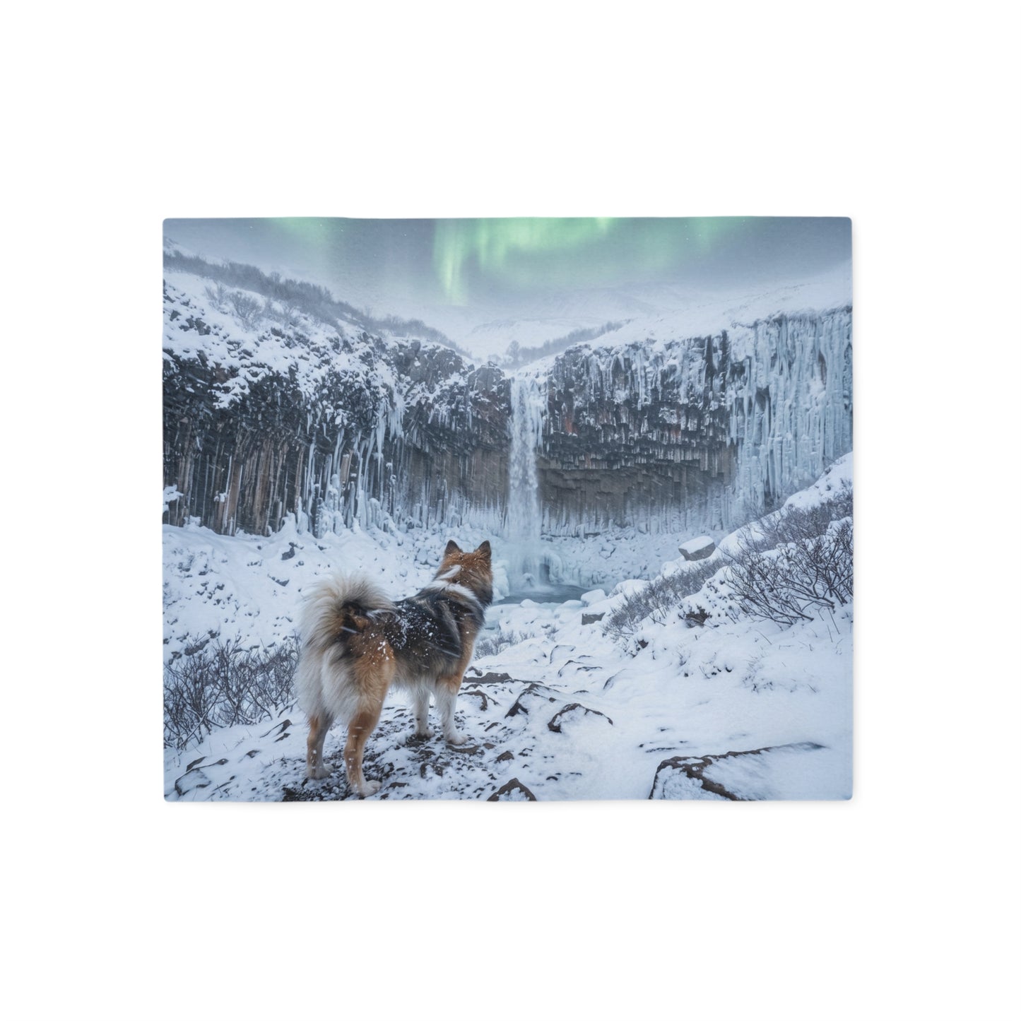 Icelandic Sheepdog Blanket