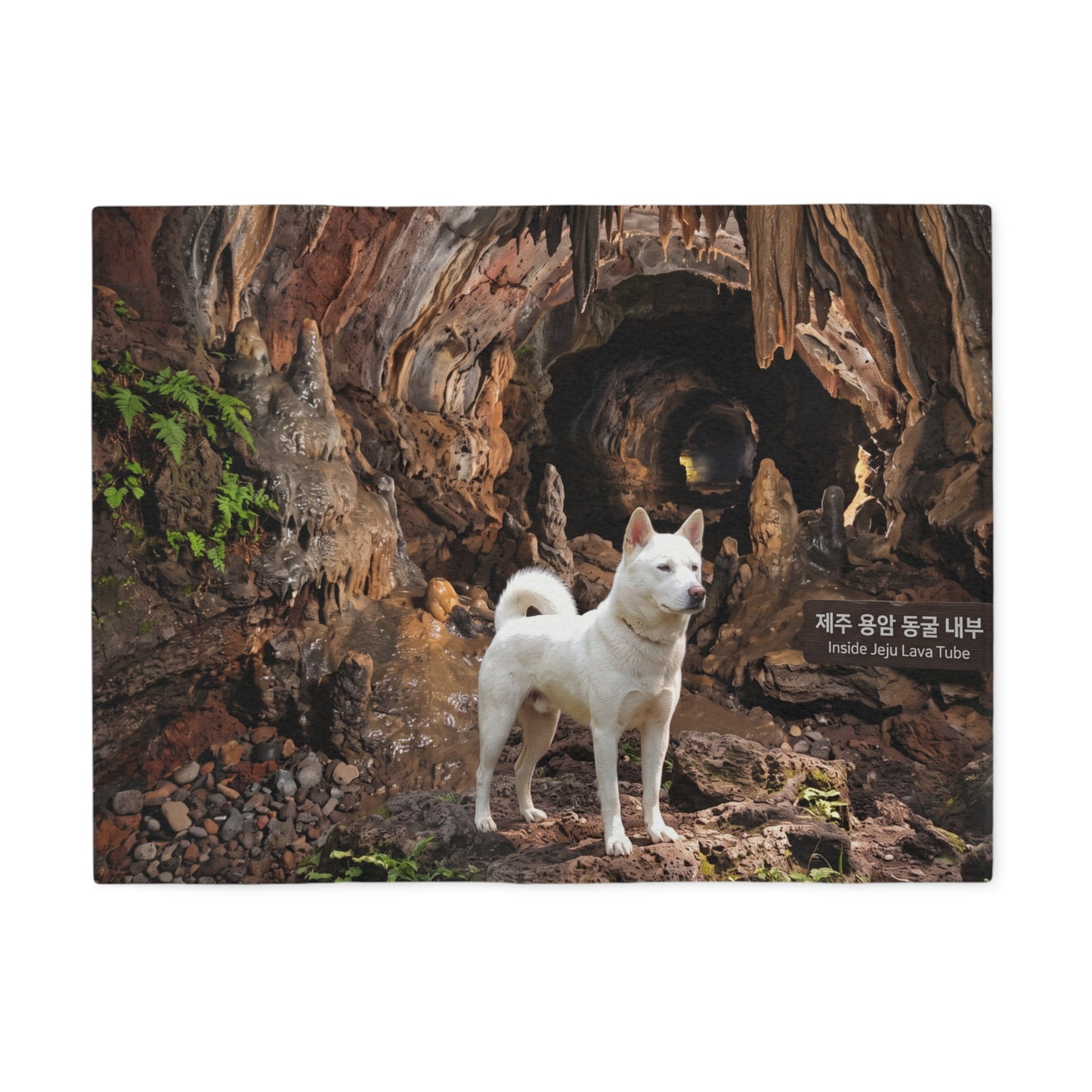 Korean Jindo Dog Blanket