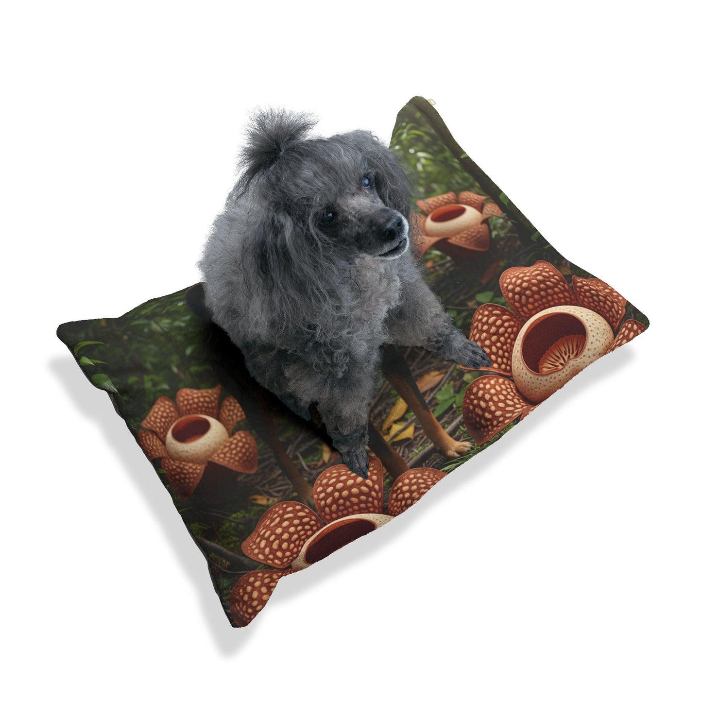 Telomian Pet Bed