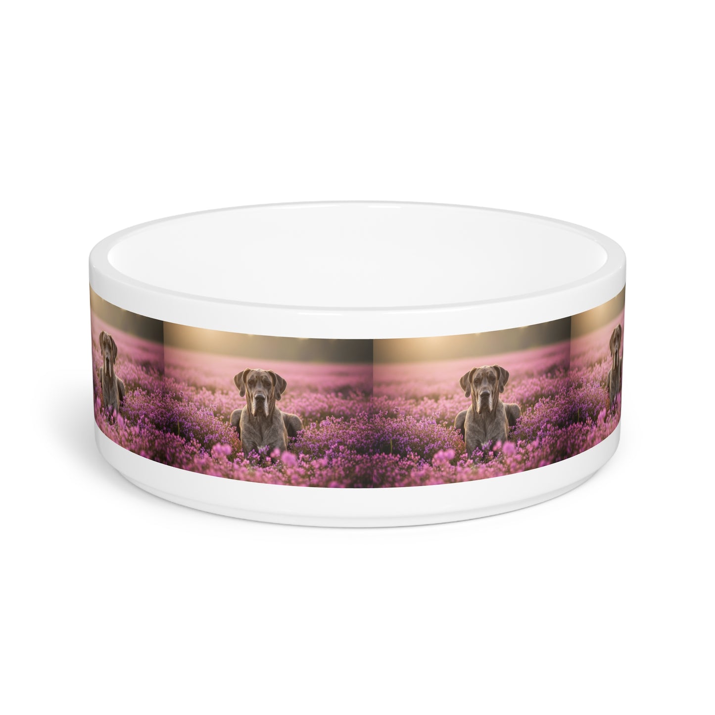 Great Dane Pet Bowl