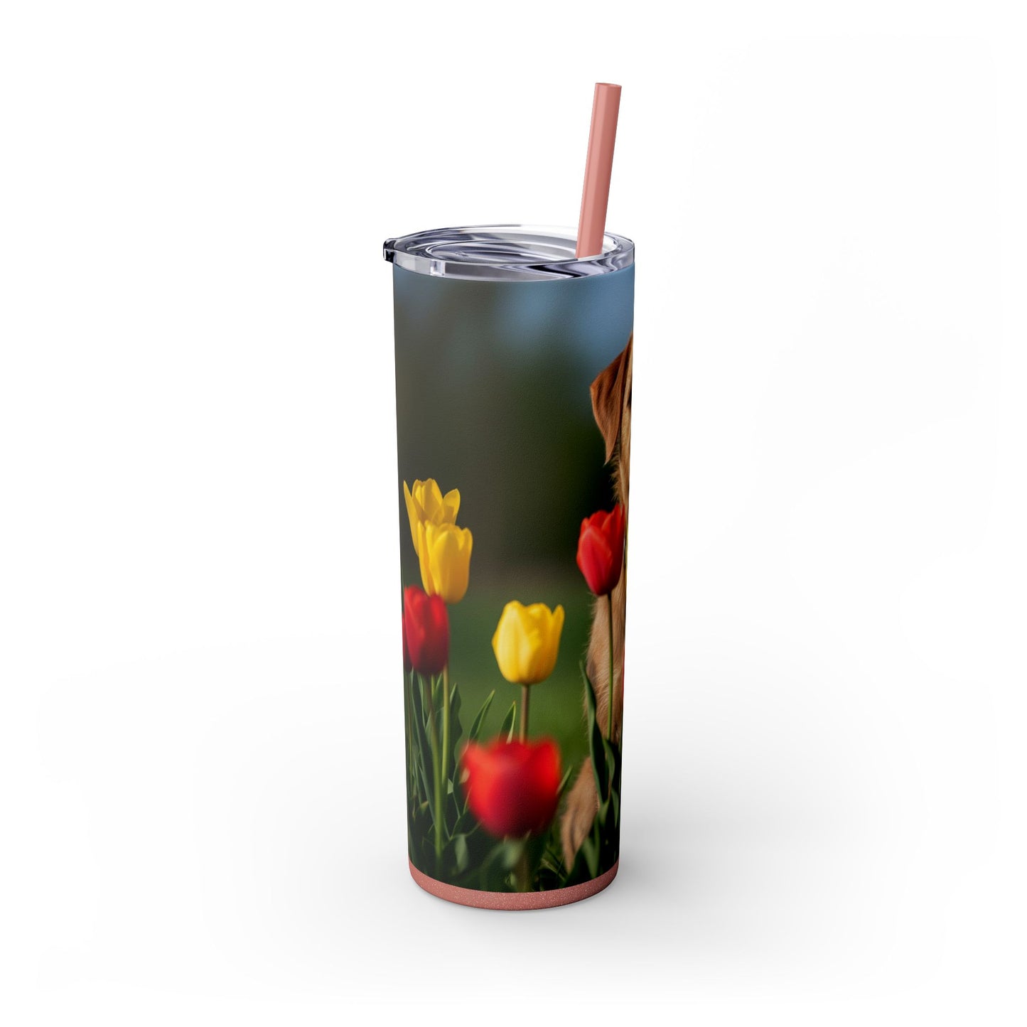 Pumi Skinny Tumbler with Straw, 20oz