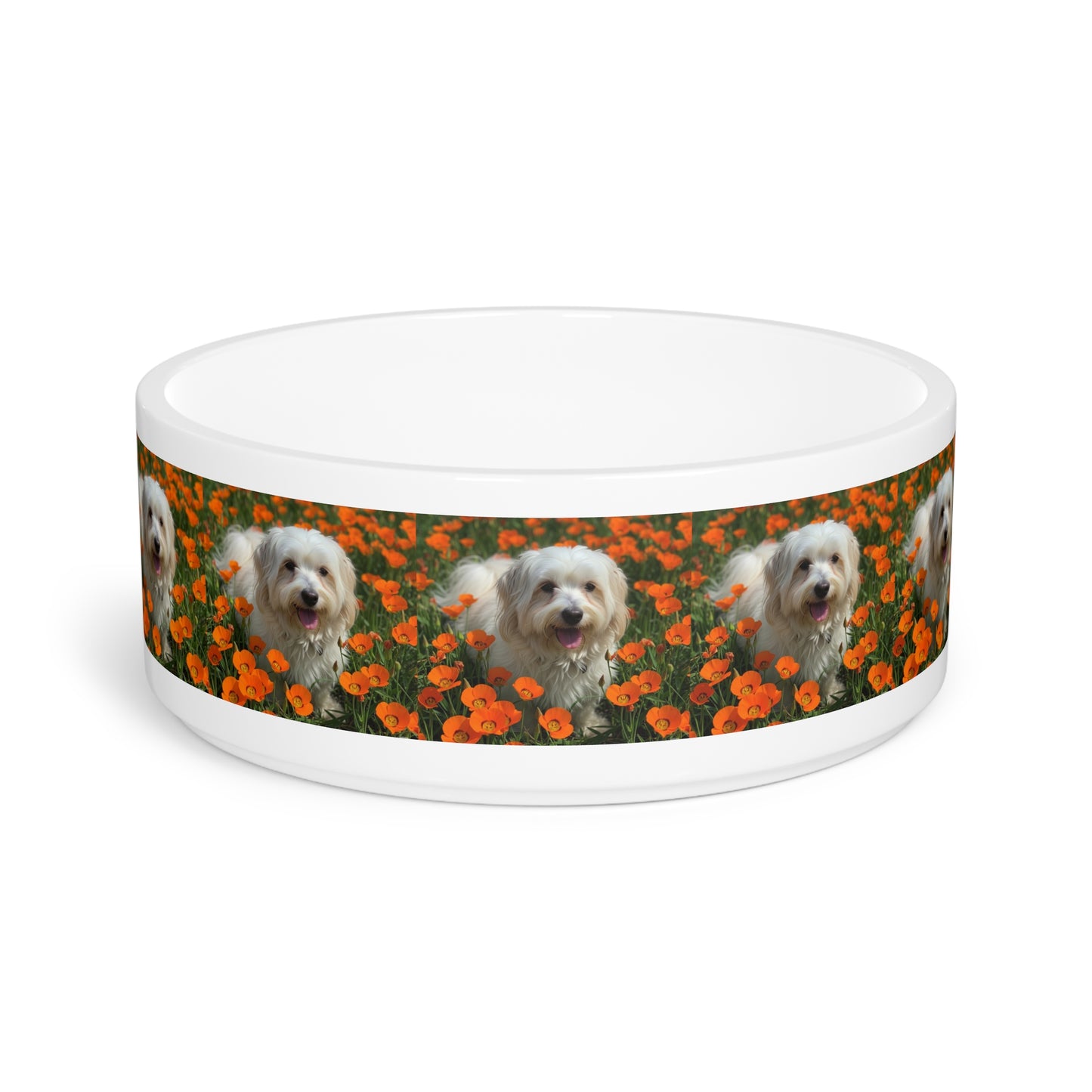 Havanese Pet Bowl