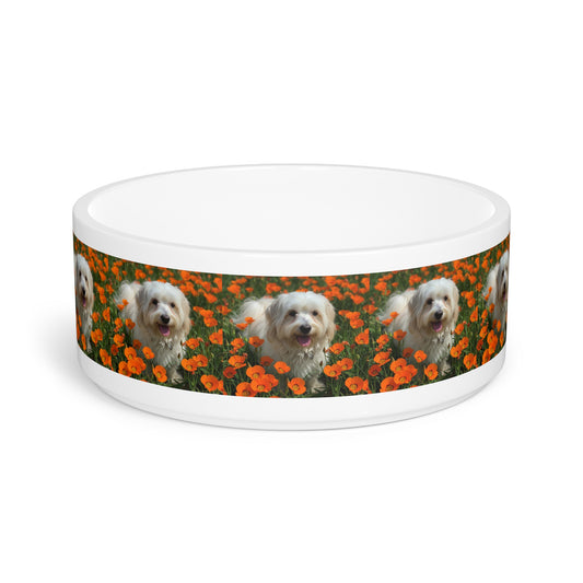 Havanese Pet Bowl