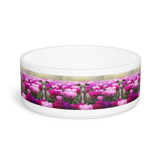 Italian Greyhound Pet Bowl