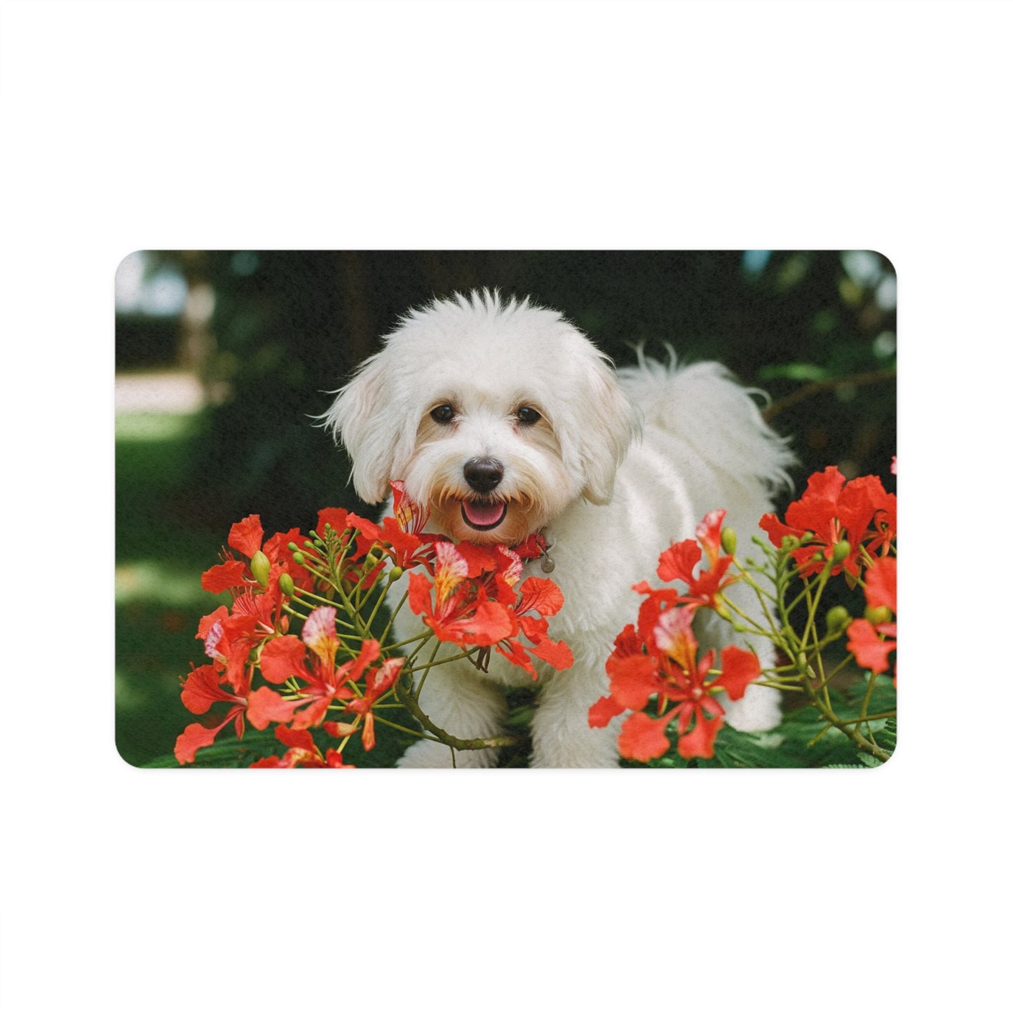 Tapete para comida de mascotas (12x18) - Coton de Tulear