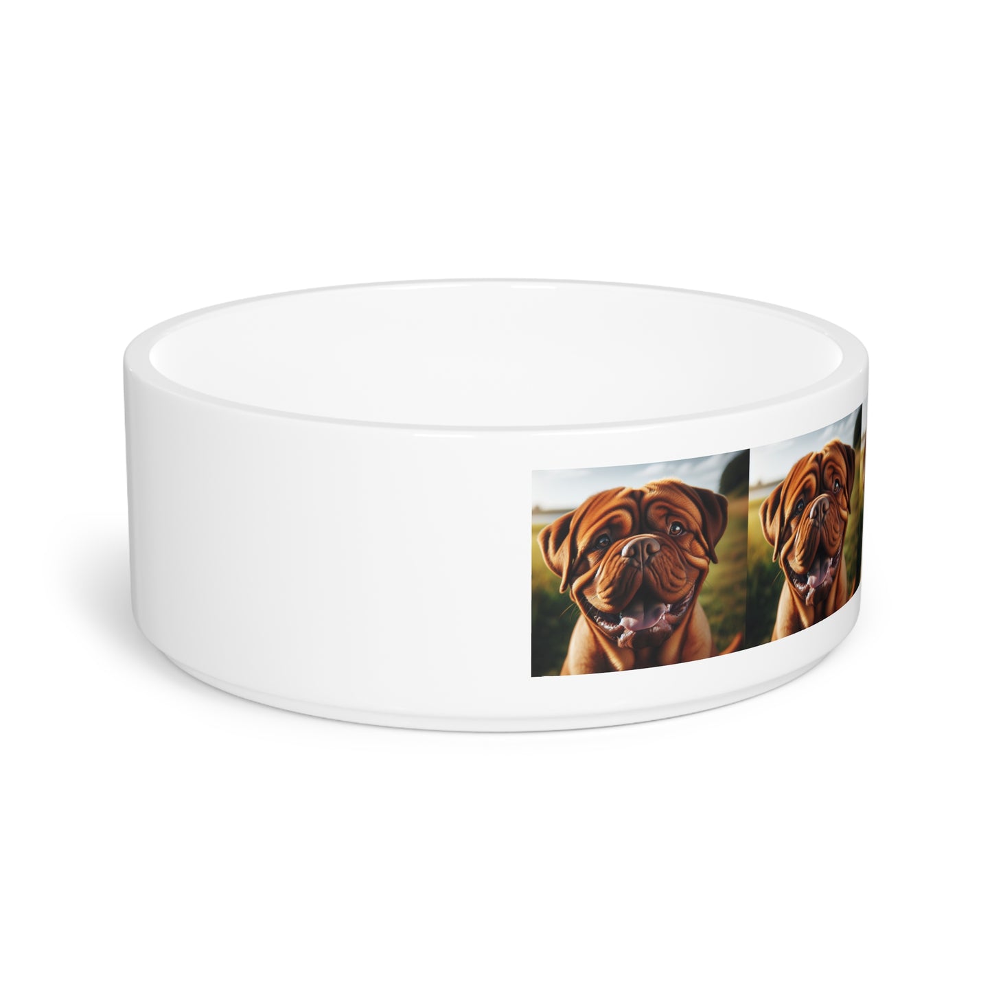 Dogue de Bordeaux Pet Bowl