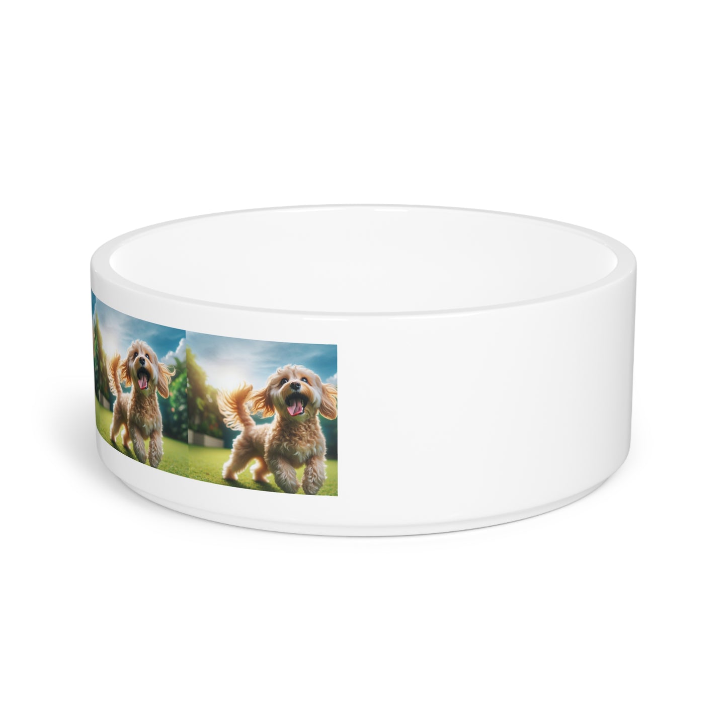 Cavoodle Dog Pet Bowl