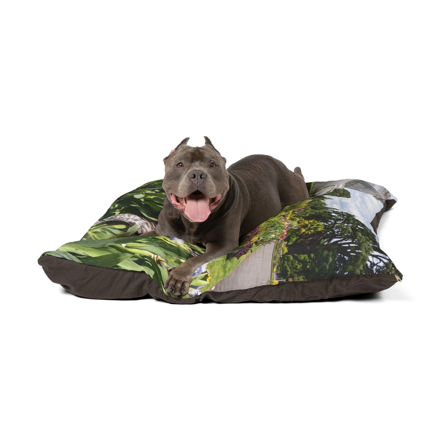 Pointer Dog Pet Bed