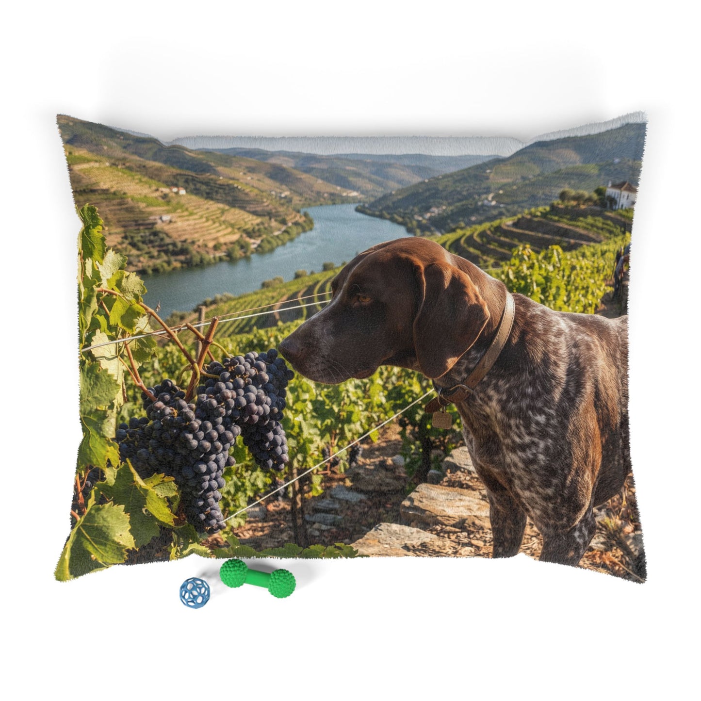 Portuguese Pointing Dog Pet Bed