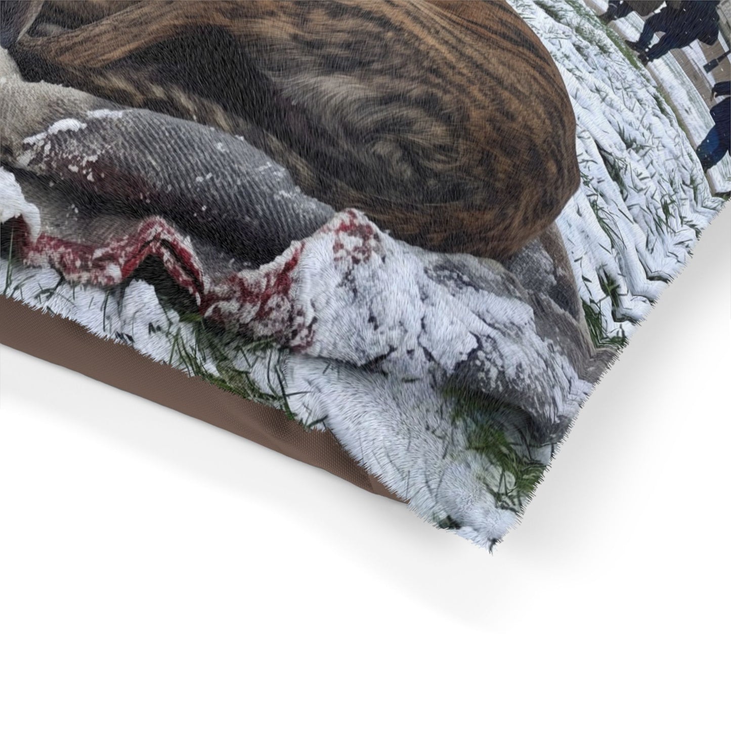 Greyhound Pet Bed