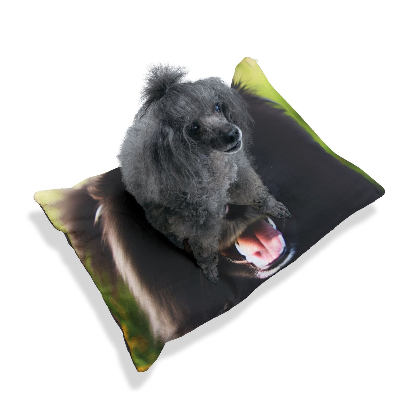 Finnish Lapphund Pet Bed