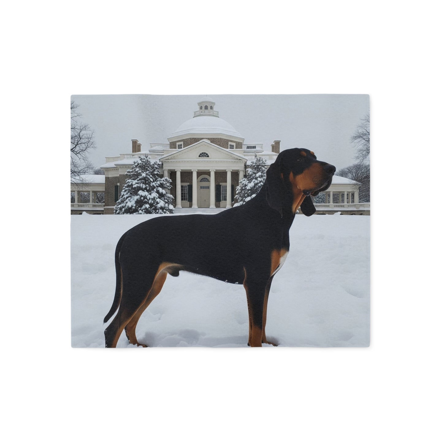 Black and Tan Coonhound Blanket