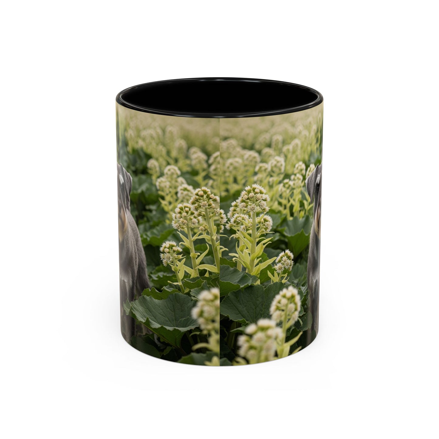 Mug à café avec motif Schnauzer standard - Cadeau idéal pour les amoureux des chiens