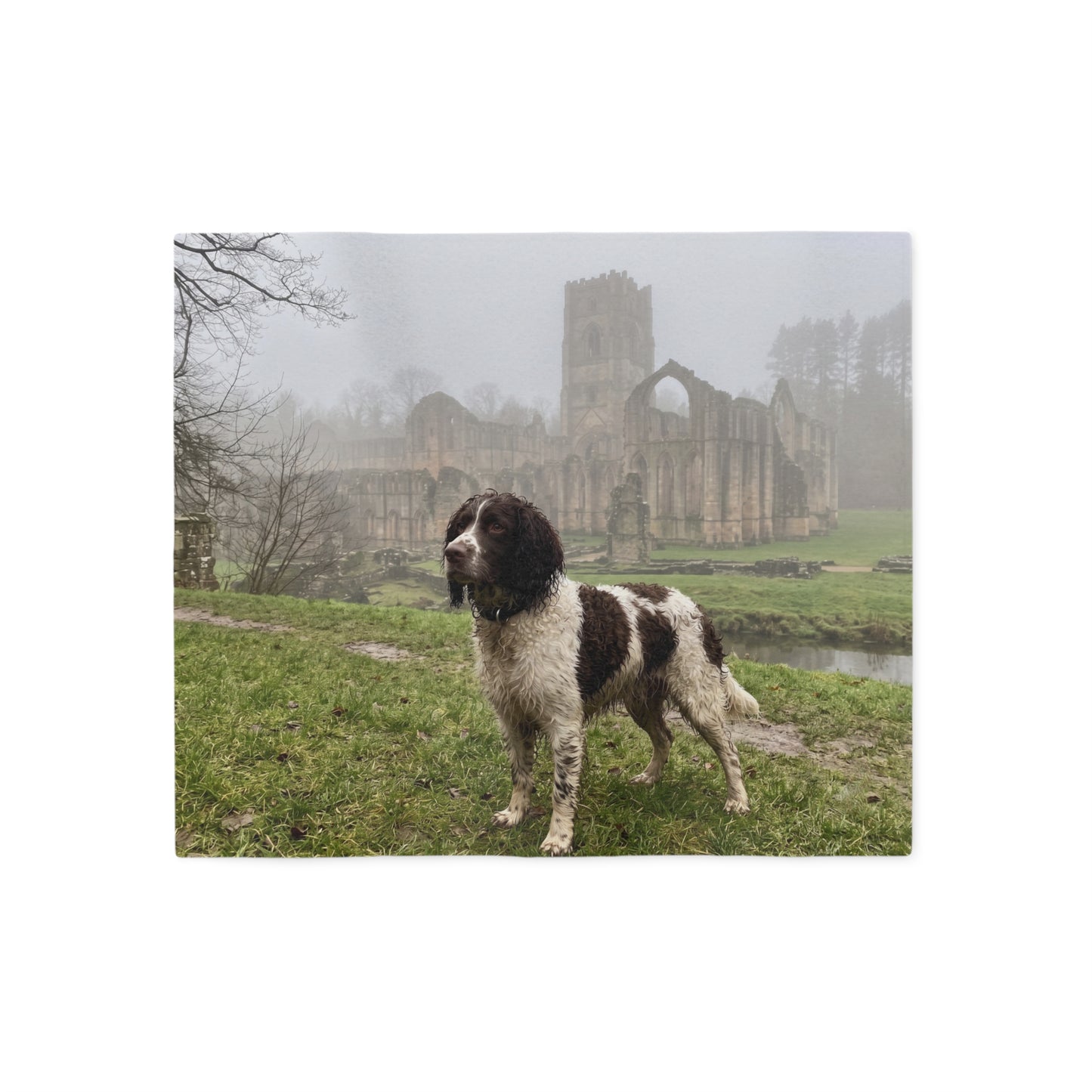 English Water Spaniel Blanket