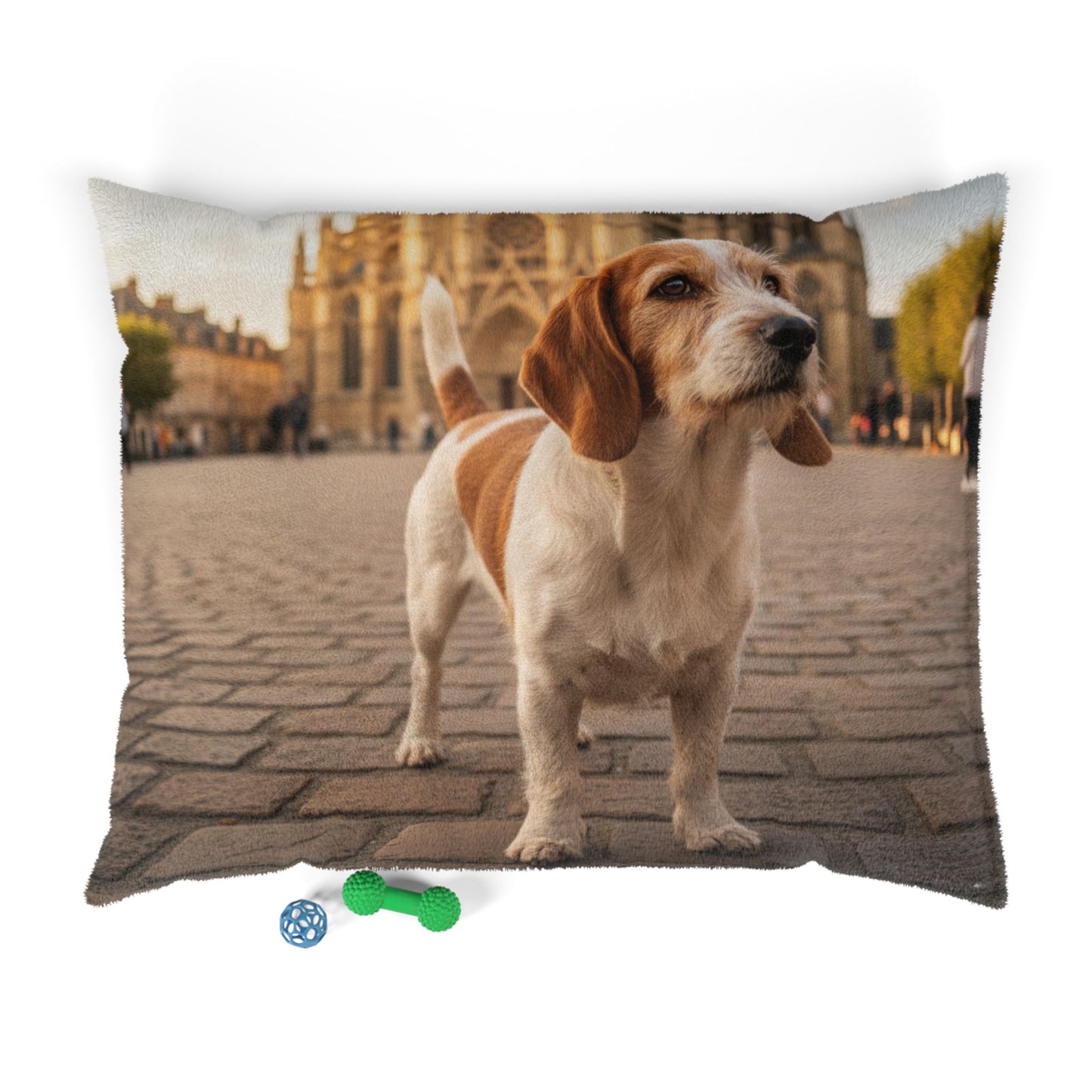 Petit Basset Griffon Pet Bed