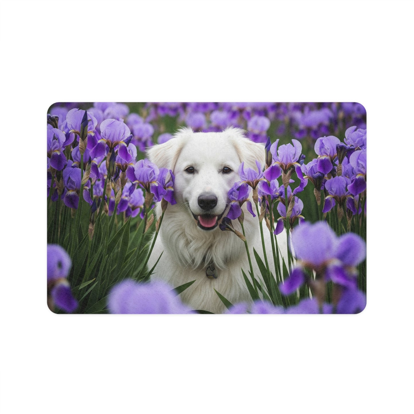 Non-Slip Pet Food Mat – Waterproof Feeding Mat for Dogs