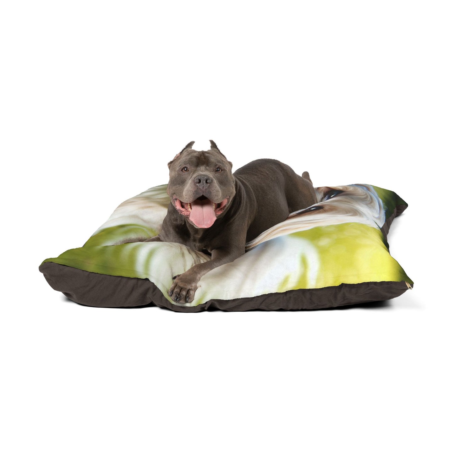 Shihmalt Pet Bed
