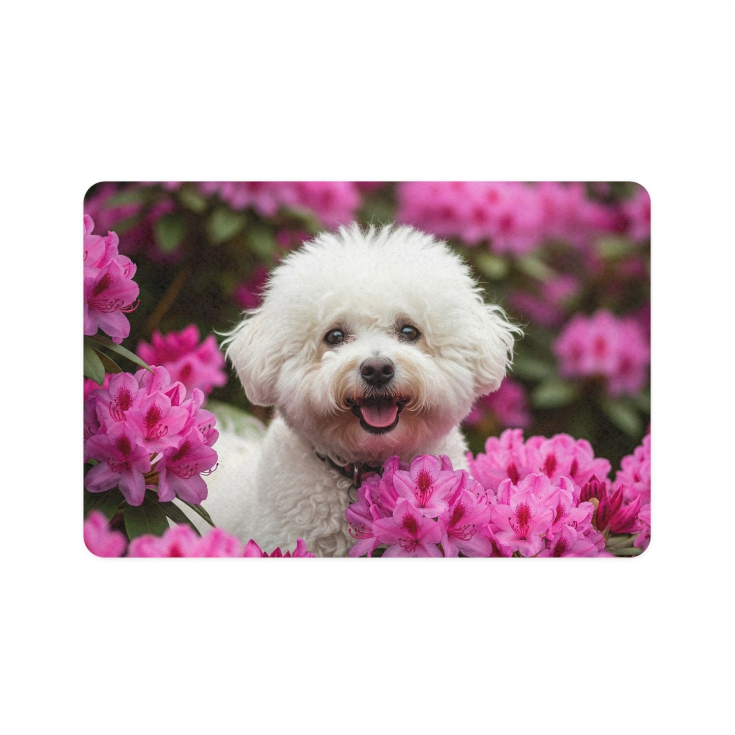 A Pet Food Mat (12x18) - A Bichon Frise