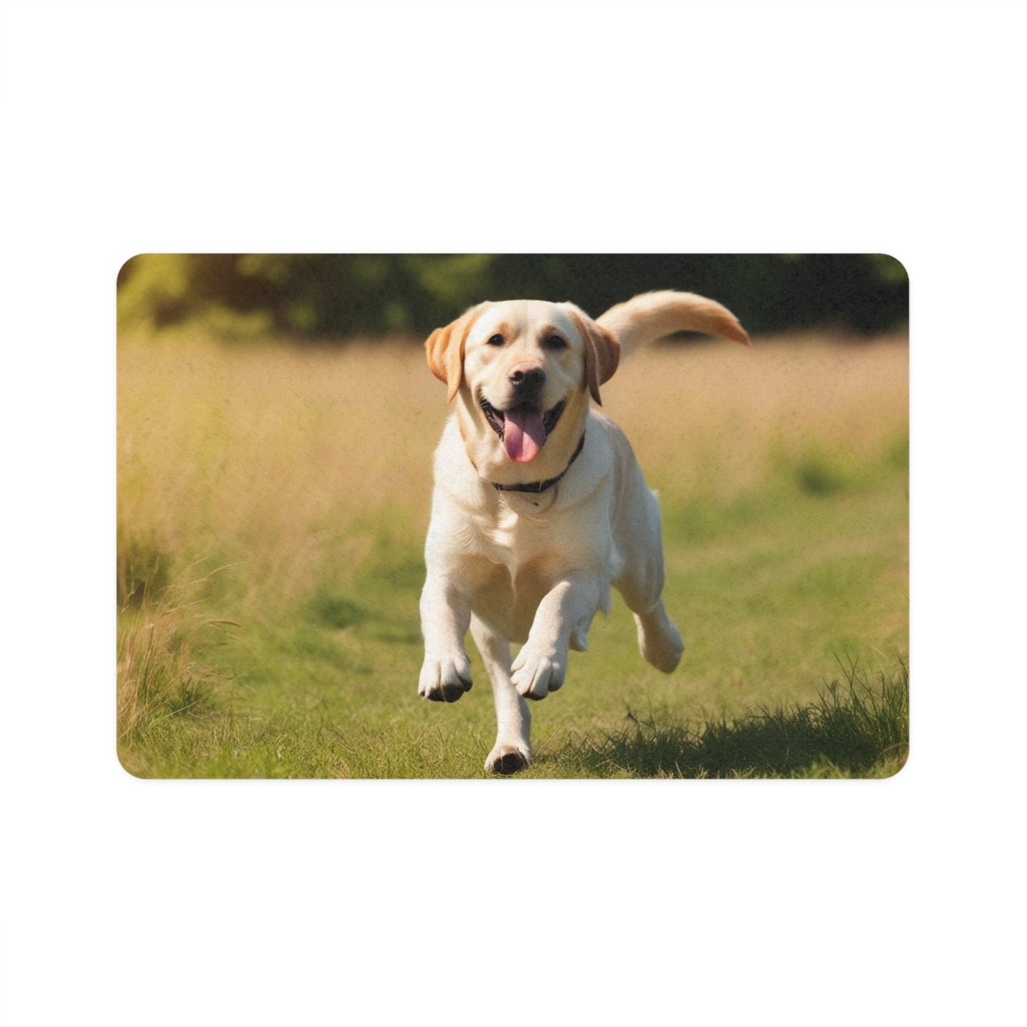 Pet Food Mat (12x18) - Labrador Retriever