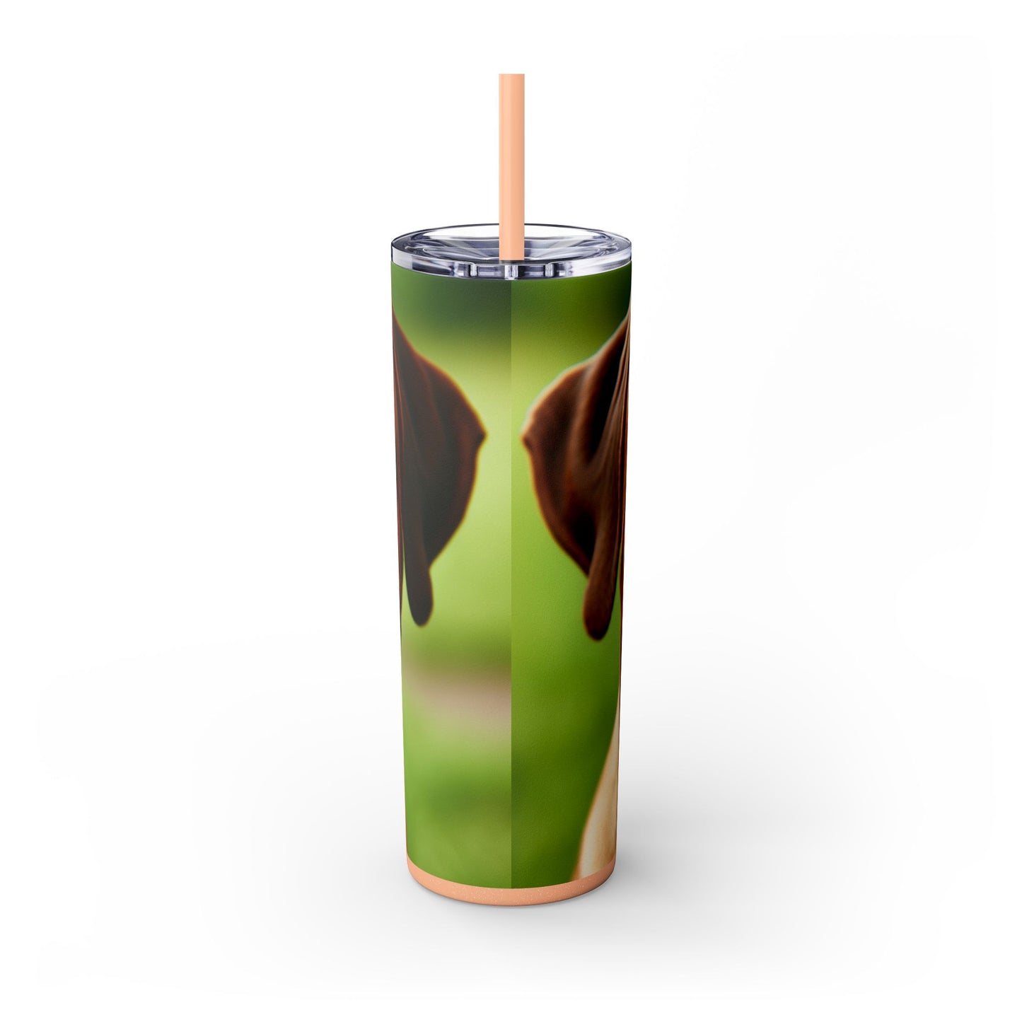 Rhodesian Ridgeback Skinny Tumbler with Straw, 20oz