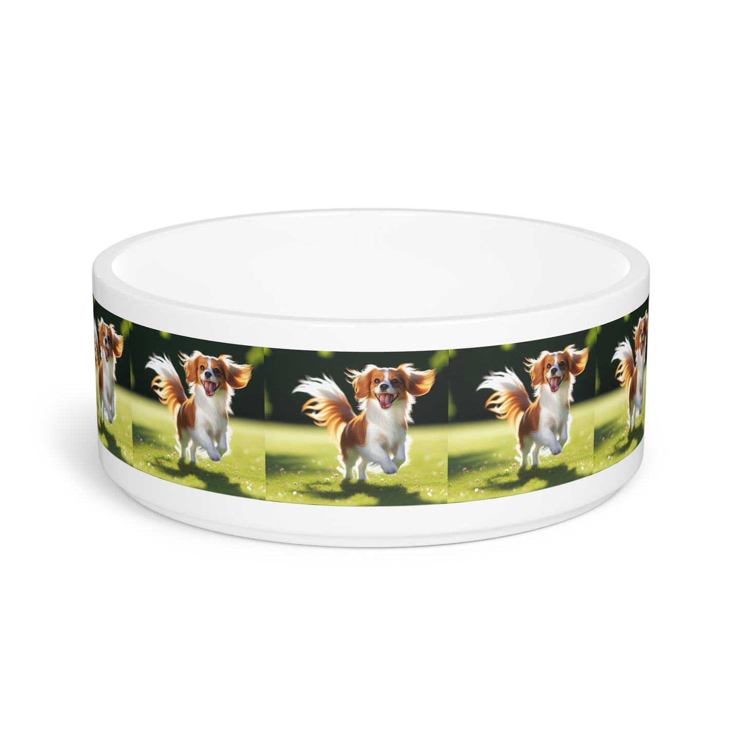 Cuenco para mascotas Nederlandse Kooikerhondje