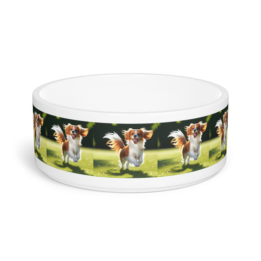 Nederlandse Kooikerhondje Gamelle pour animaux de compagnie