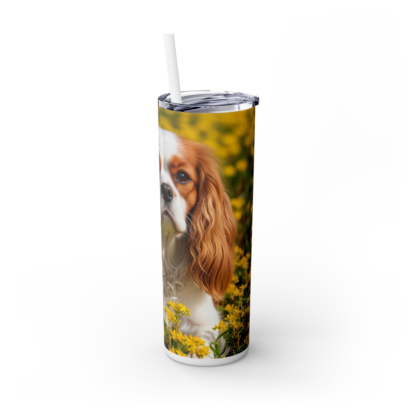Skinny Tumbler with Straw – 20 oz Stainless Steel Cup