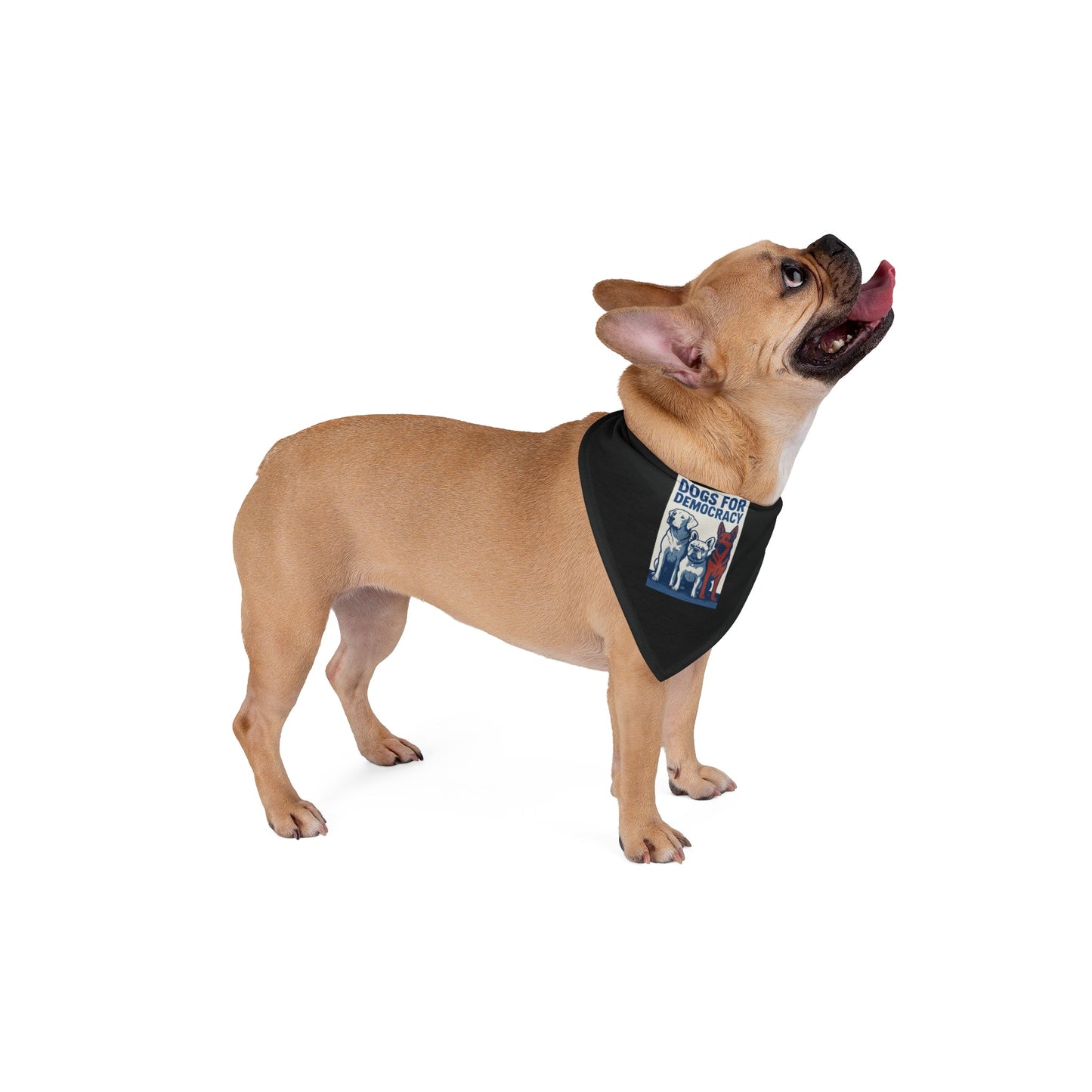 Bandana con diseño exclusivo de Perros por la Democracia