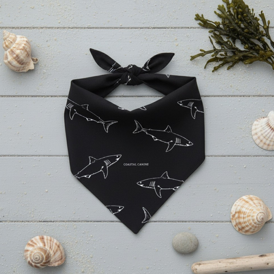 Bandana pour chien à motif requin