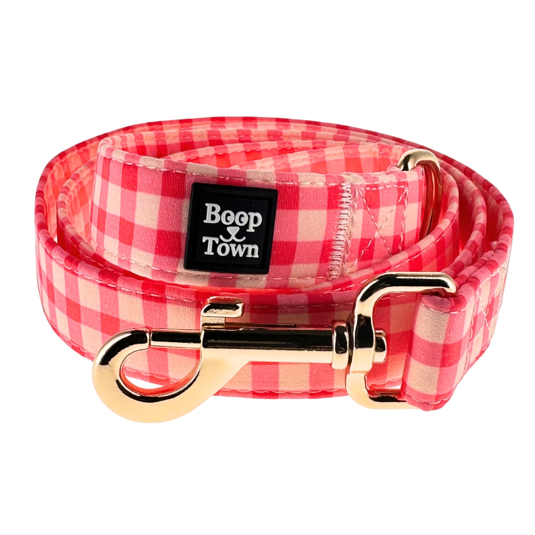 laisses pour chiens